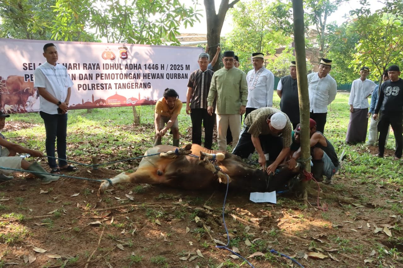 Polresta Tangerang Laksanakan Pemotongan Hewan Kurban, Wujud Ketakwaan dan Kepedulian Sosial