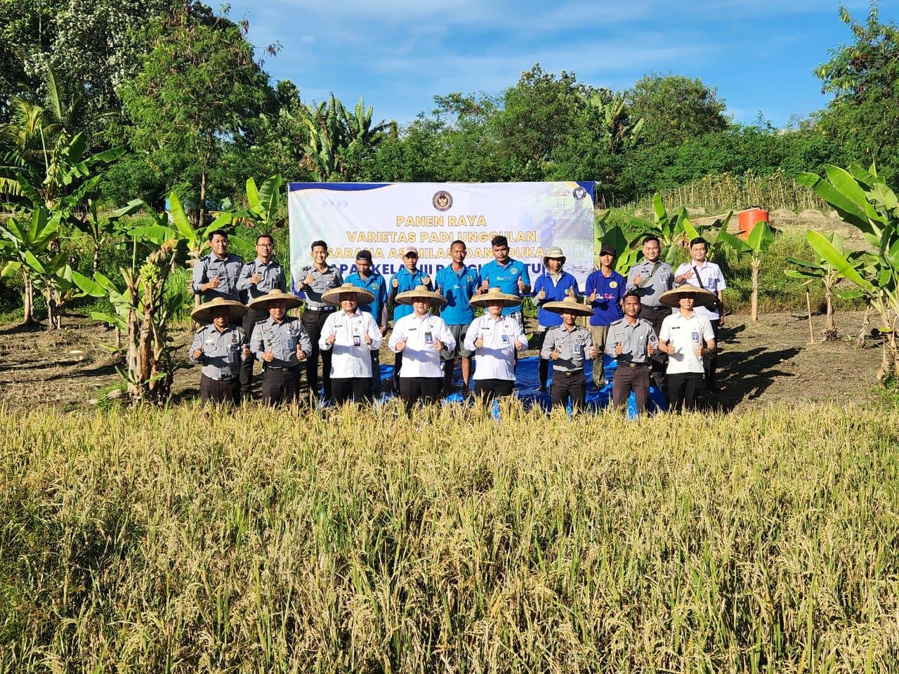 Panen Raya di SAE Lapas Rangkasbitung, Wujud Nyata Program Ketahanan Pangan Pemasyarakatan