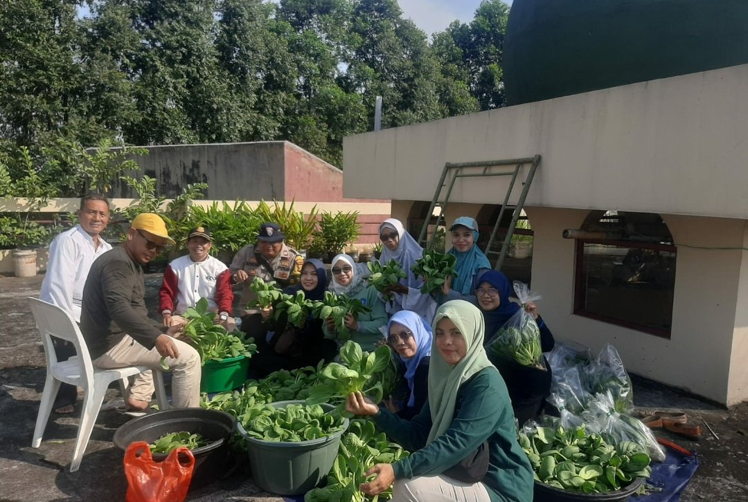 Panen sayur hidroponik Poktan RT 12 RW 16 Palmerah: Wujud Ketahanan Pangan Berbasis Komunitas
