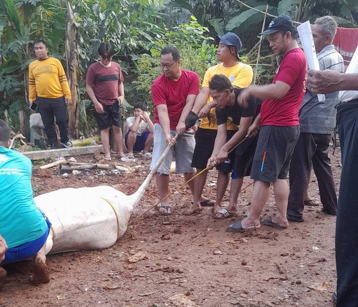 Makna Berkurban di Hari Raya Idul Adha: Pengorbanan, Keikhlasan, dan Kepedulian Sosial