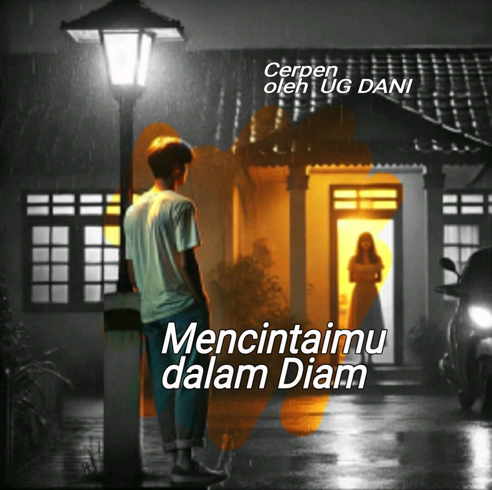 Mencintaimu dalam Diam