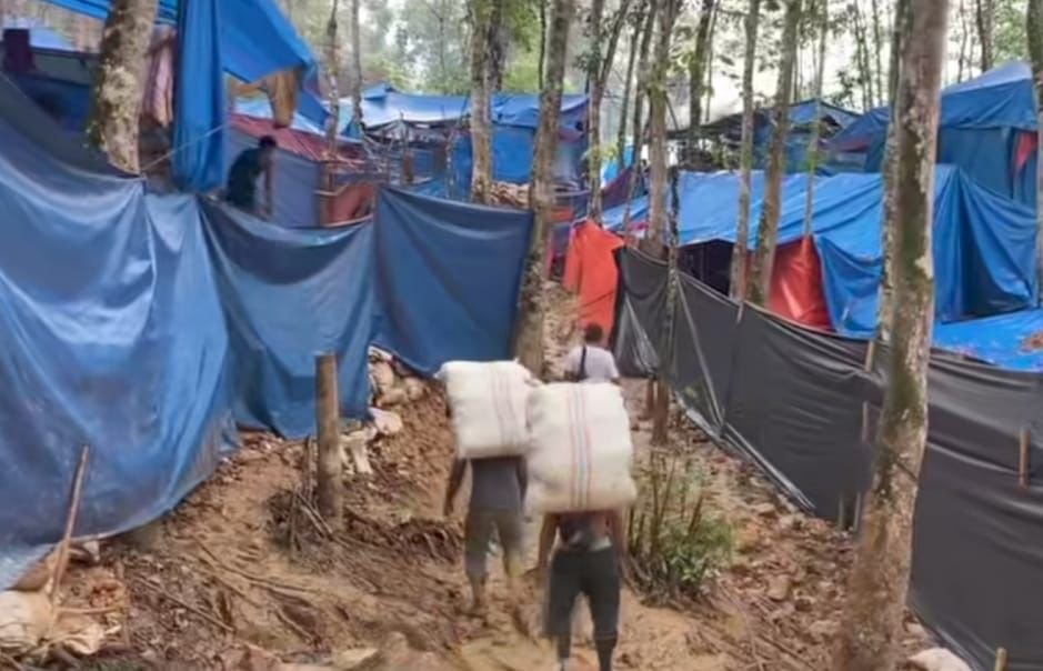 Pekerja Tambang Mas di Huta Bargot Mencium Aroma Bau Busuk Saat Masuk ke Lubang Pertambangan