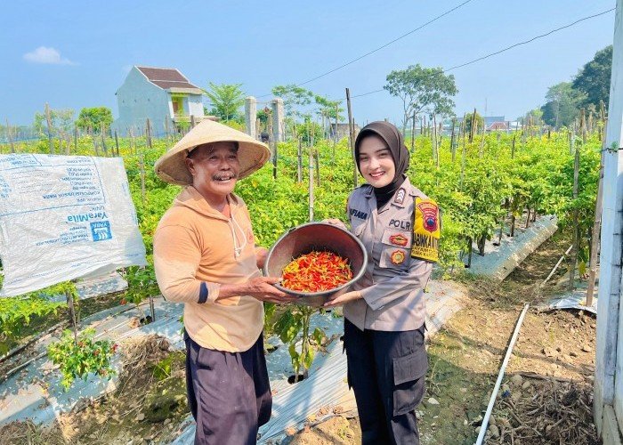 Program Saling Silang Pangan Bergizi Bhabinkamtibmas Gayamdompo Dukung Ketahanan Pangan dan Kerukunan Warga