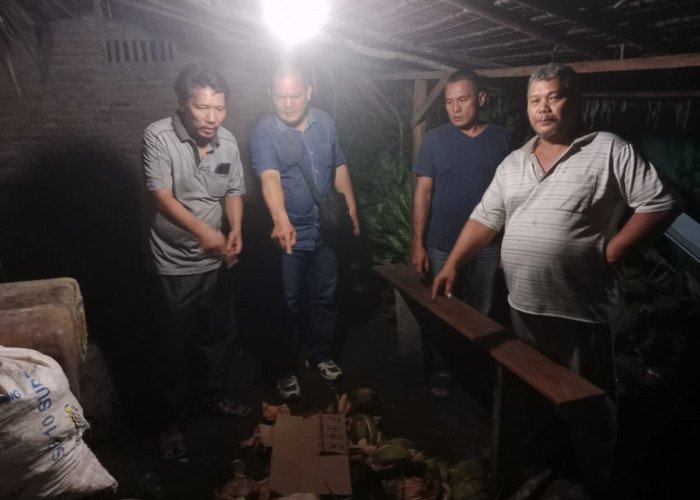 Polsek Silau Kahean Grebek Warung di Bandar Nagori, Temukan Judi Tembak Ikan 