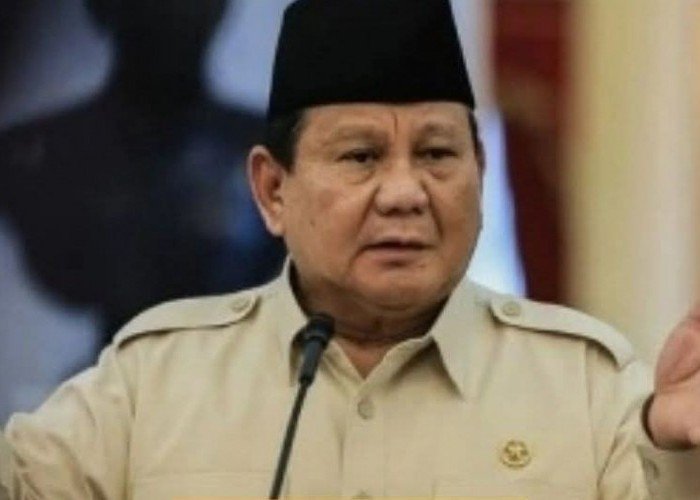 Strategi Presiden Prabowo Subianto Membangun Dalam Paradoks Indonesia Yang Mencemaskan