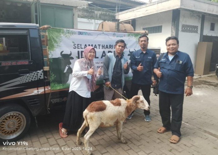PT Antam Tbk UBPE Pongkor Salurkan 3 Sapi dan 66 Kambing Kurban di Kecamatan Nanggung dan Desa Penyangga