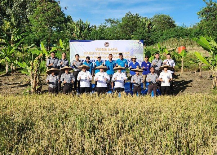 Panen Raya di SAE Lapas Rangkasbitung, Wujud Nyata Program Ketahanan Pangan Pemasyarakatan