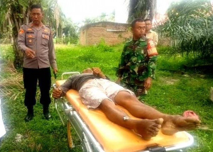 Polsek Tanah Jawa Olah TKP, Terkait Mayat di Perladangan Kebun Sawit