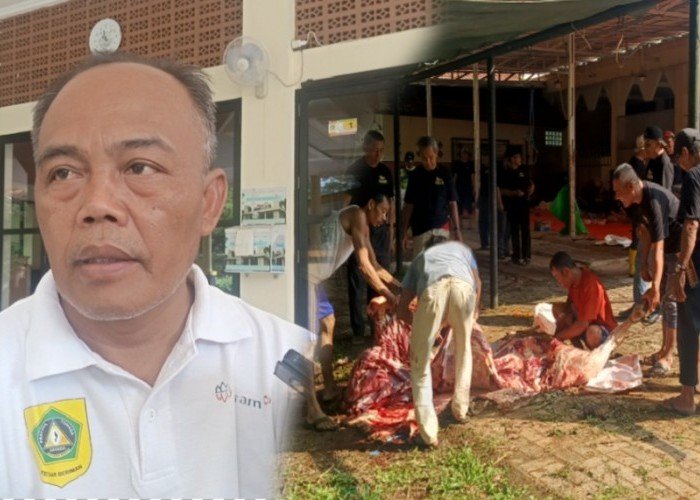 CSR Antam Pongkor Gelar Pemotongan Ratusan Hewan Kurban di Hari Kedua Idul Adha 1446 H
