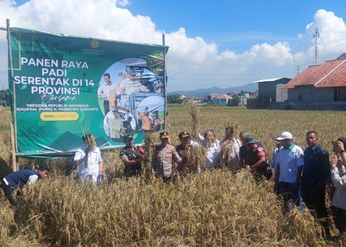 Dandim 0623 Cilegon Menghadiri Panen Padi Serentak Di 14 Provinsi Secara Virtual Bersama Presiden RI