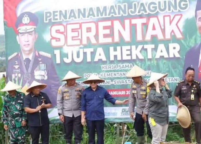 Serentak Penanaman Jagung 1 Juta Hektare se-Indonesia Dukung Swasembada Pangan 2025