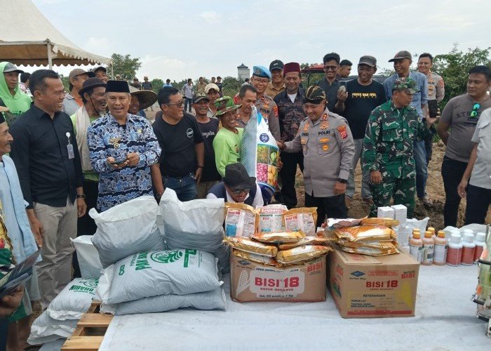 Kapolres Serang Tanam Bibit Jagung di Lahan 2 Hektar, Dukung Program Ketahanan Pangan Nasional
