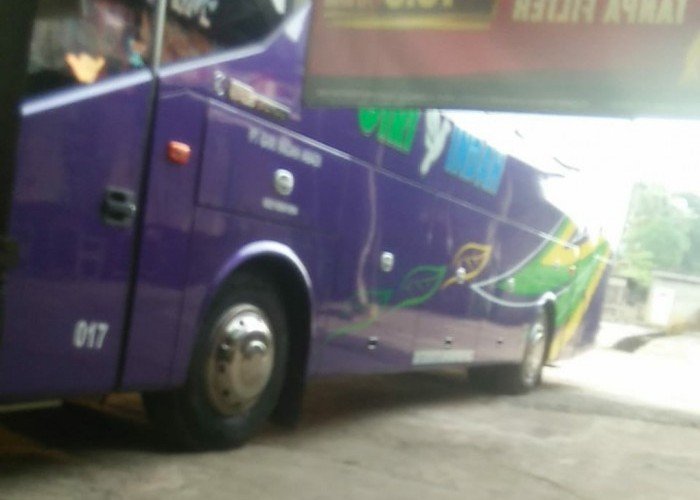Suta Widhya: Rido Efendi Terlantar Di Jakarta, Pulang Dibantu Dinas Sosial