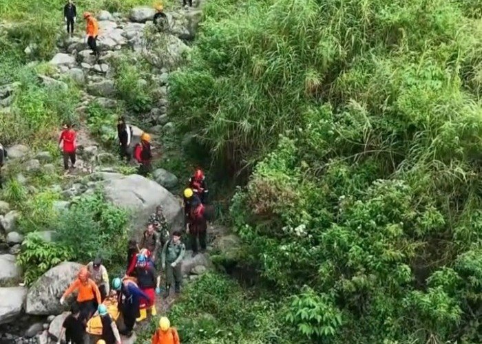 Tiga Hari Pencarian di Tebing Halimun Salak, Tim SAR Evakuasi Lansia dalam Kondisi Meninggal
