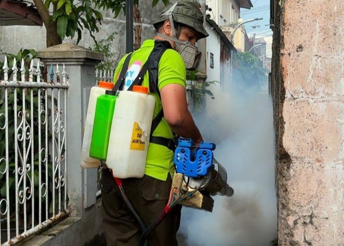 Waspada DBD! Ini Langkah-Langkah Lindungi Anak dari Gigitan Nyamuk