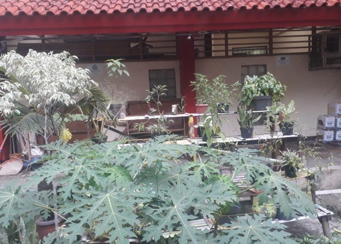 Taman SDN Kapuk 03 Pagi dan 08 Petang: Menanamkan Cinta Lingkungan Sejak Dini