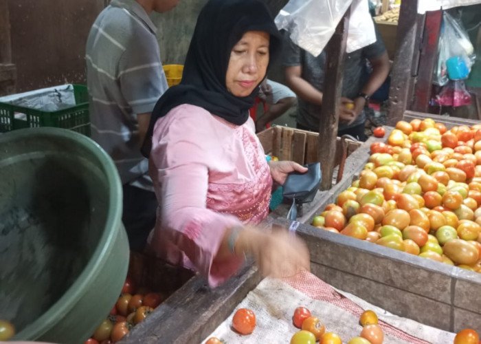 Petani Tidak Pernah Menikmati Benar Kenaikan Harga Sayur Mayur di Pasar