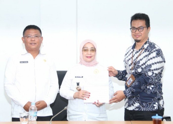 BPK RI Periksa Laporan Keuangan Tahun 2024 di Labuhanbatu 