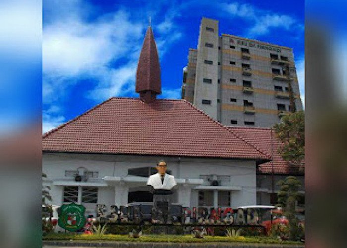 RSUD Dr Pirngadi Medan Optimis Bisa Layani Pasien Wisata Medis