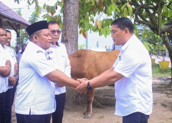 Wakil Bupati Labuhanbatu Serahkan Sapi Kurban Bantuan Gubernur Sumut Untuk Lapas Rantauprapat 