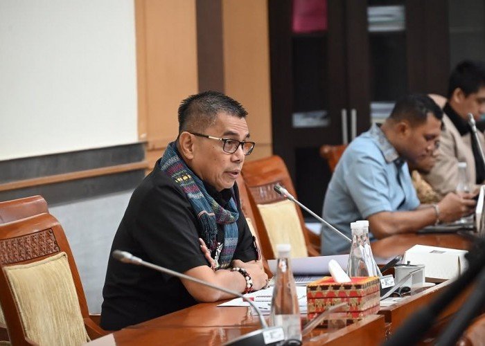 Anggota DPR Hinca Panjaitan Puji Kinerja Polri Amankan Mudik 2025