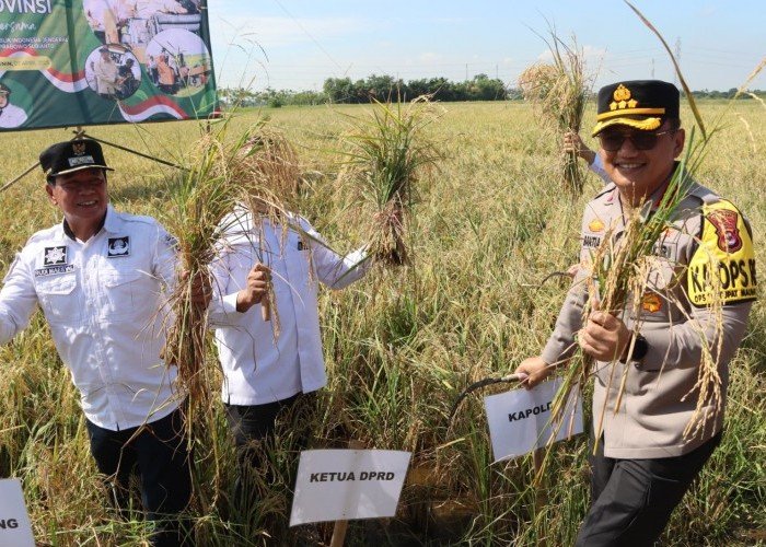 Kapolresta Tangerang Hadiri Kegiatan Vidcon Panen Raya Padi Serentak Bersama Presiden RI