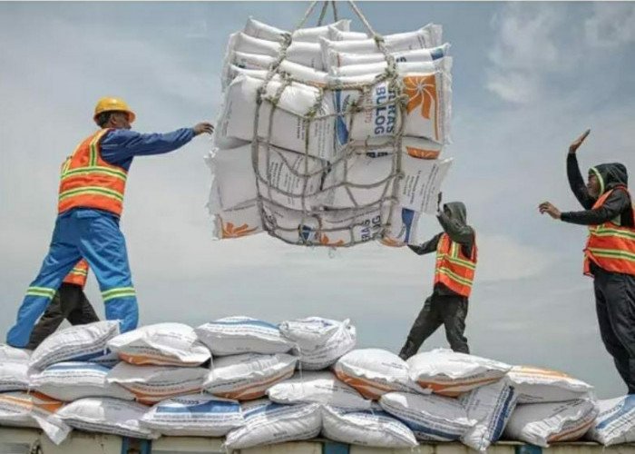 Negeri Sarang Para Bedebah