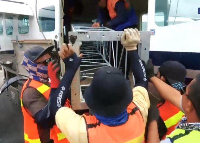 Pekerja Keras dengan Integritas Tinggi, Kesaksian Rohadi Direktur PT BKU dalam Kasus Proyek BTS 4G