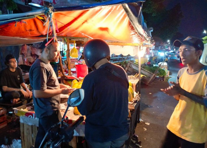 Kurniawan : Lampung Penghasil Pepaya Nomor Satu