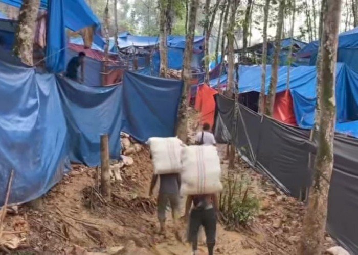 Pekerja Tambang Mas di Huta Bargot Mencium Aroma Bau Busuk Saat Masuk ke Lubang Pertambangan
