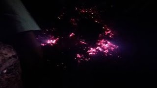 Kaum Emak Emak Bakar 4 Mesin Jacpot, Akibat Laporan Tak Ditanggapi
