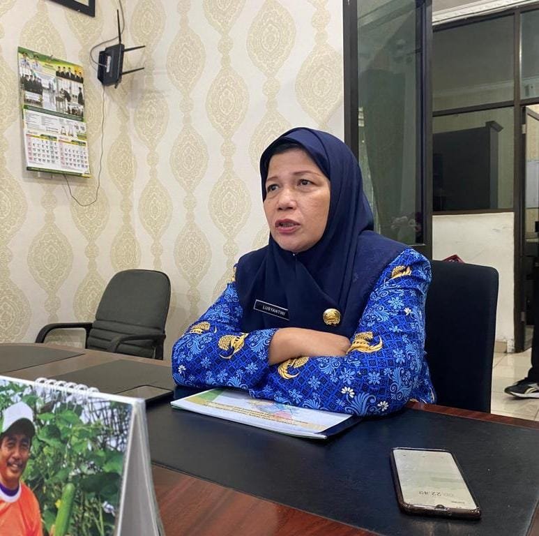 Stok Pangan di Sumut Aman, Dinas TPH Ingatkan Masyarakat Tidak Panic Buying