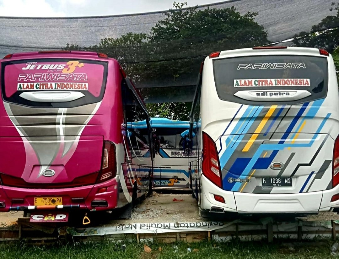 Bisnis Rental di Pekanbaru Kembali Menggeliat, Pengusaha Bus Mulai Kebanjiran Order