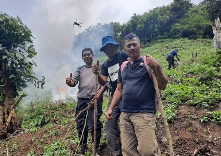 Tujuh Hektar Ladang Ganja Di Musnahkan Di Wilayah Hukum Polres Madina